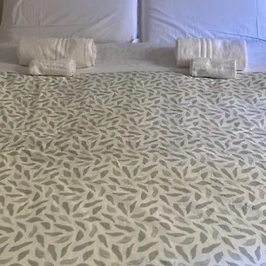 Domus Ferruccio Guest house Rome